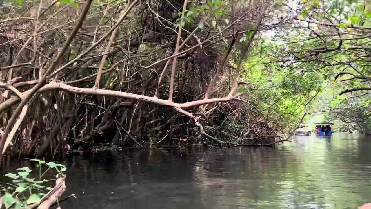 Poovar island #kerala #keralabackwaters #poovar 