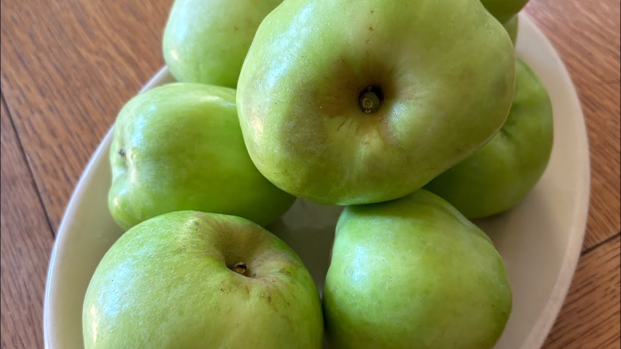 Apple Genetics 101