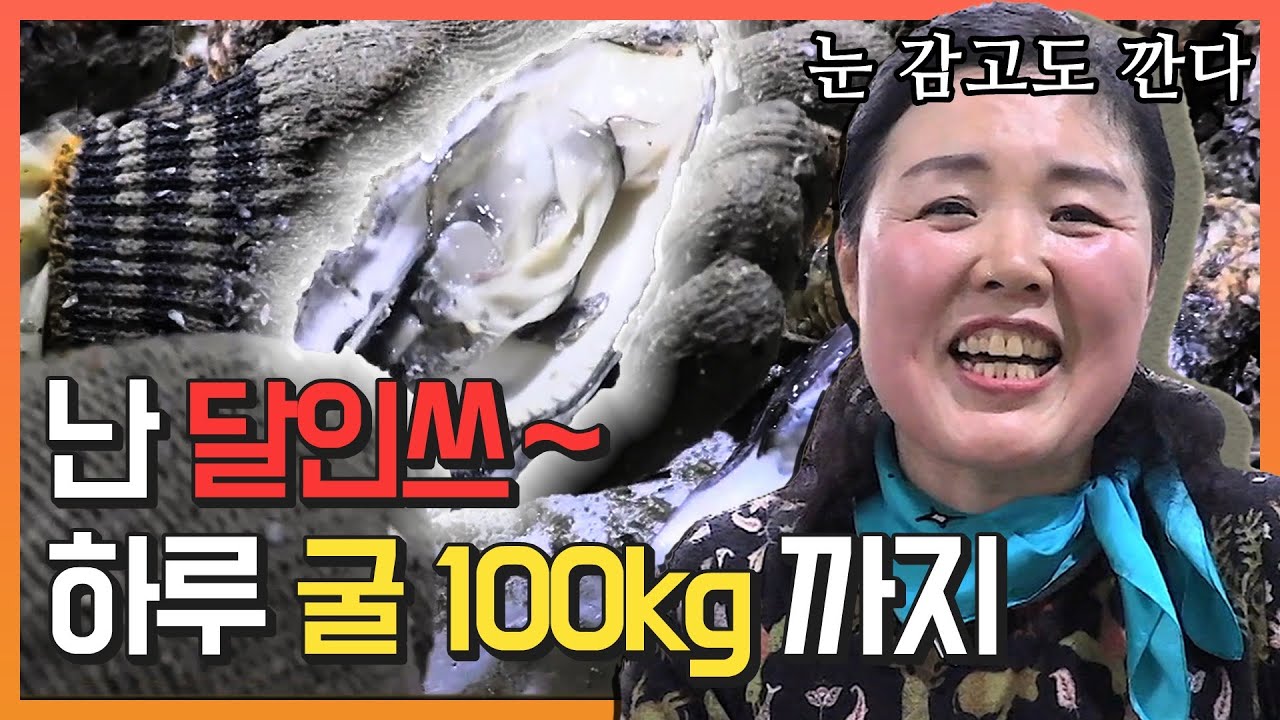 ★ 보면 갑자기 굴 먹고 싶어지는 영상 ★ 10톤 극한의 굴 까기 _세.모.달