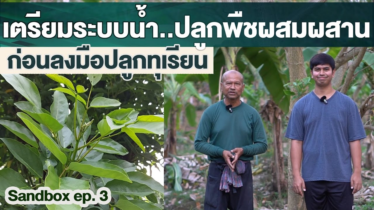 สวนตาก้าน ('67) เตรียมระบบน้ำ..ปลูกพืชผสมผสาน ก่อนลงมือปลูกทุเรียน [Sandbox ep.3]