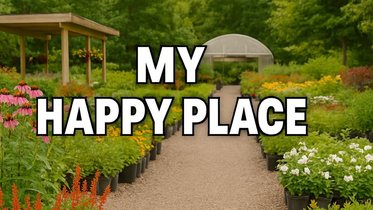 My Happy Place Part 2
