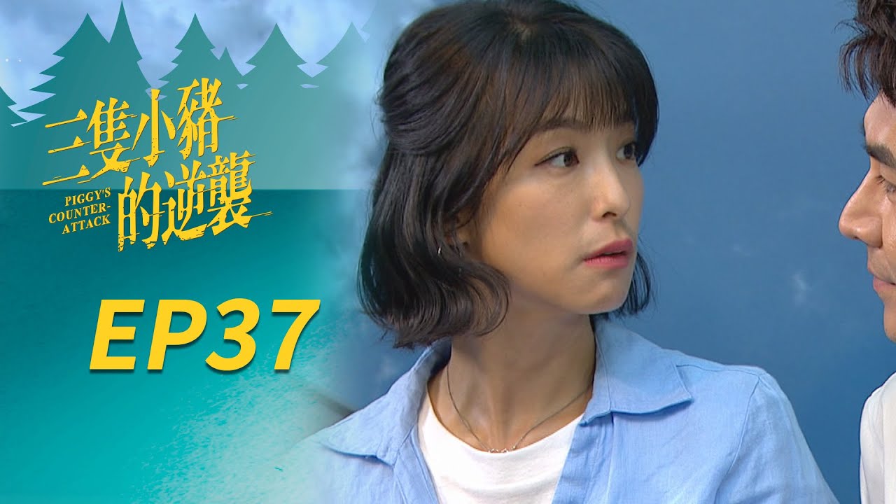 三隻小豬的逆襲 EP37 Piggy's Counterattack｜三立華劇