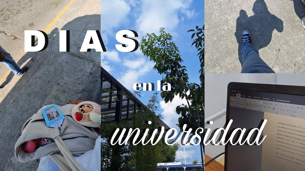 Univlog: unos d&iacute;as conmigo en la escuela⋆.˚✮