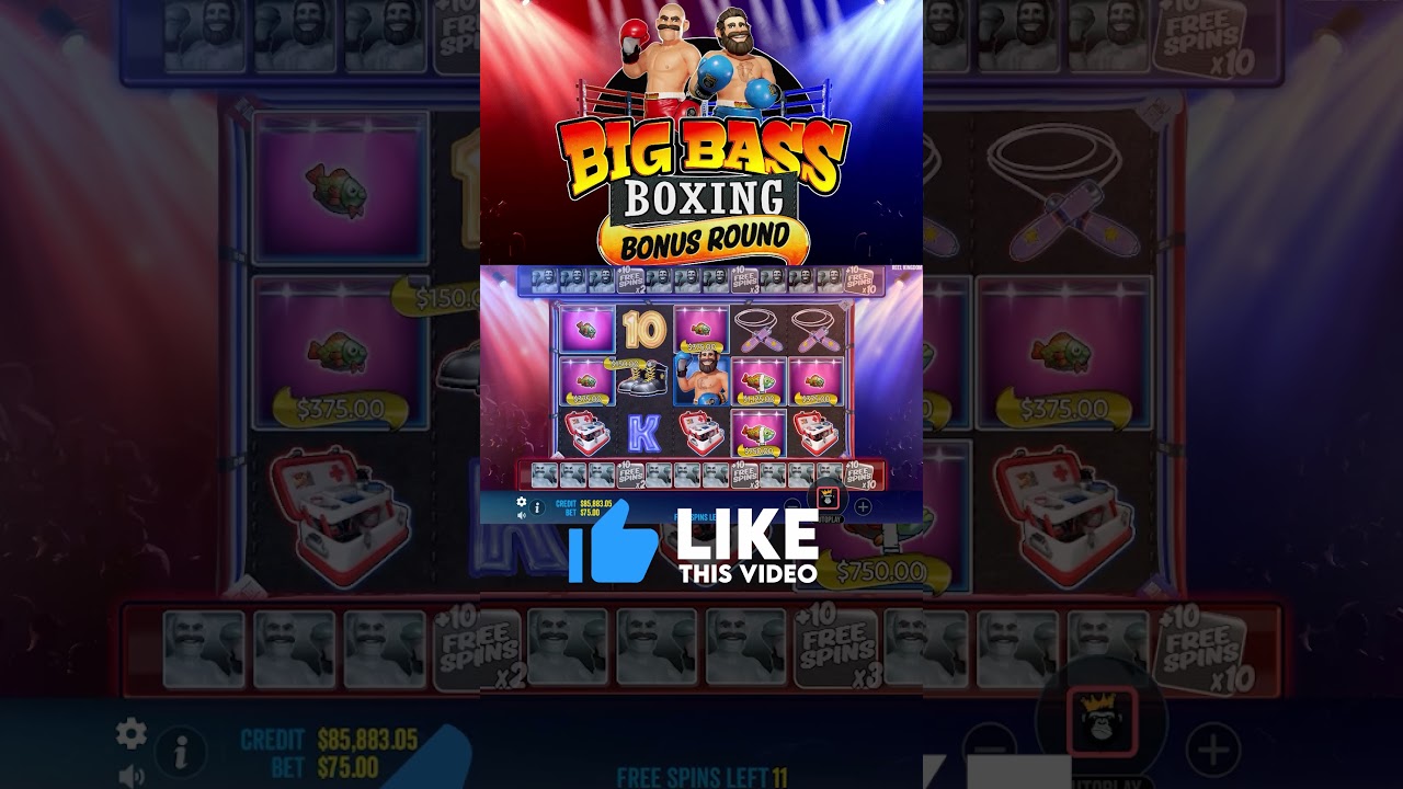 Big Bass Boxing Bonus Round slot MEGA Win #bigwin #slots #bigbass