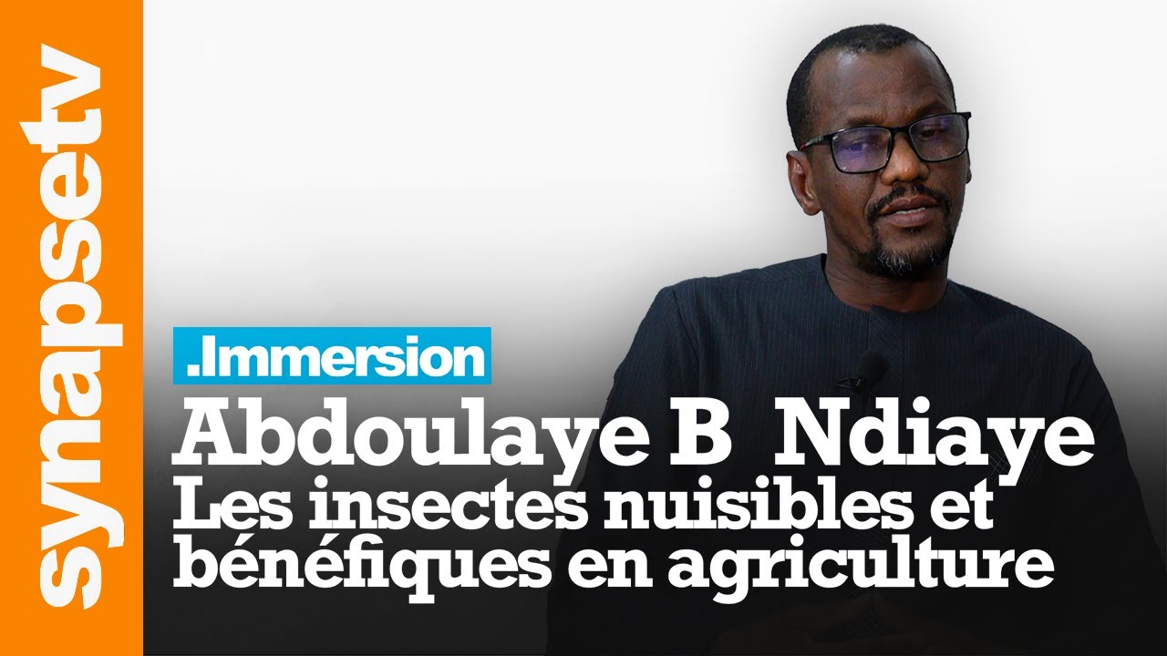 L'entomologie au Sénégal : les insectes nuisibles et bénéfiques en agriculture