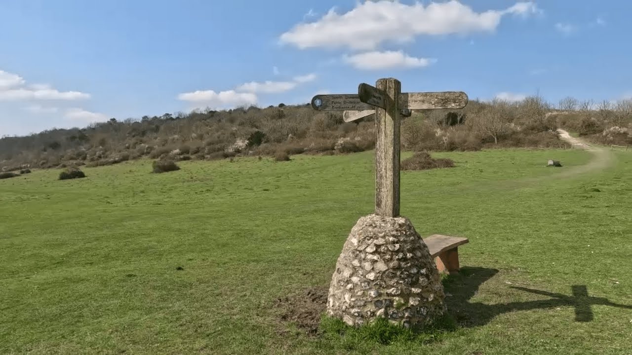 Harting Down to Cocking on the South Downs Way