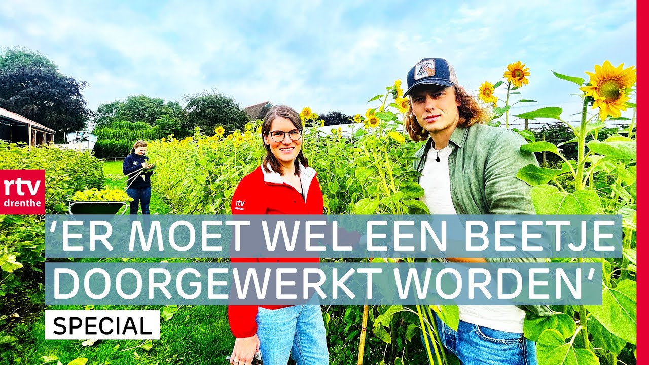 Robbert en Vera gaan bessen plukken en zonnebloemen snijden | Vakantiewerk | RTV Drenthe