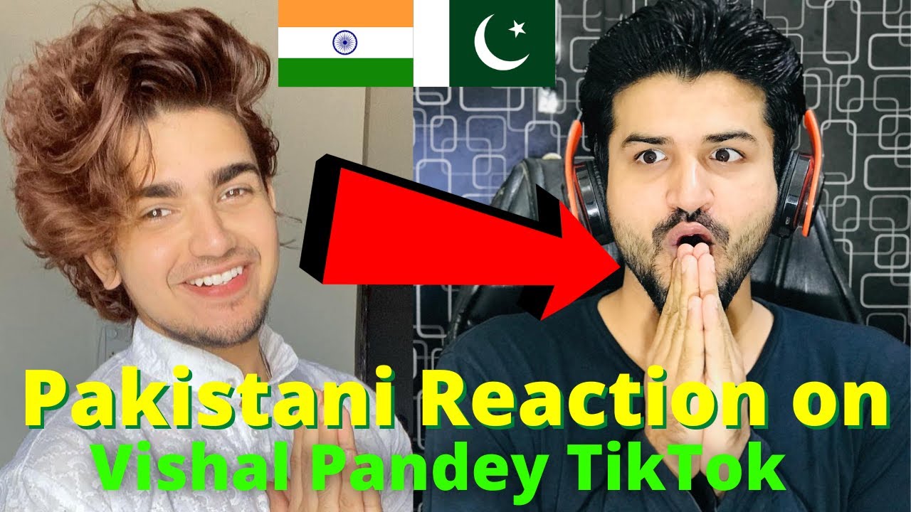 Pakistani React on Vishal Pandey Latest TIKTOK VIDEOS | Teentigada | Reaction Vlogger