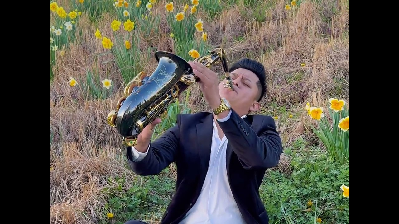 Si No Te Hubieras Ido - Cover JRMusic 🎷#saxophone #saxcover #lyrics #newyorkcity #cover