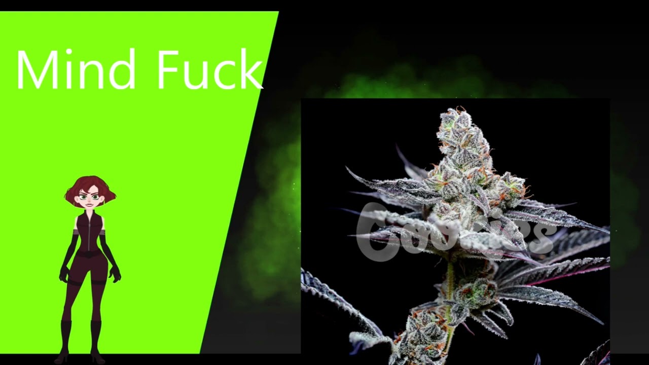 Mind Fuck - Cookies Seed Bank