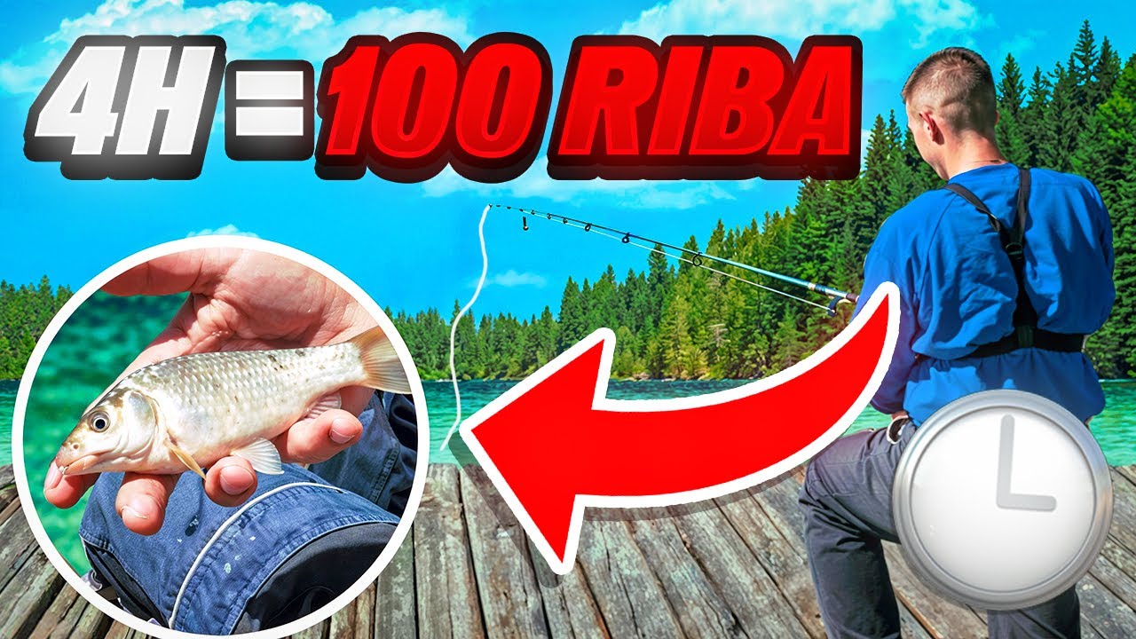 4h = 100 riba? Ma kakvi… Feeder Izazov Me Razočarao