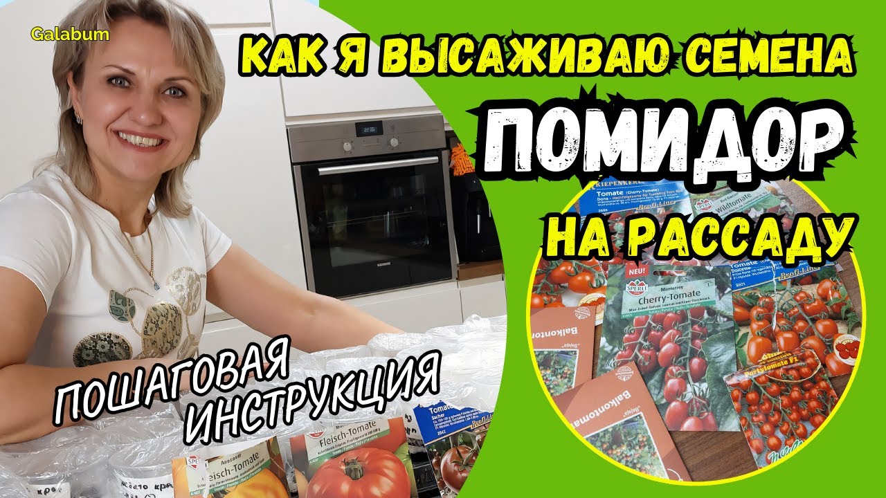 Как сеять СЕМЕНА ПОМИДОР на рассаду | Пошаговая Инструкция высадки семян томатов @GALABUM