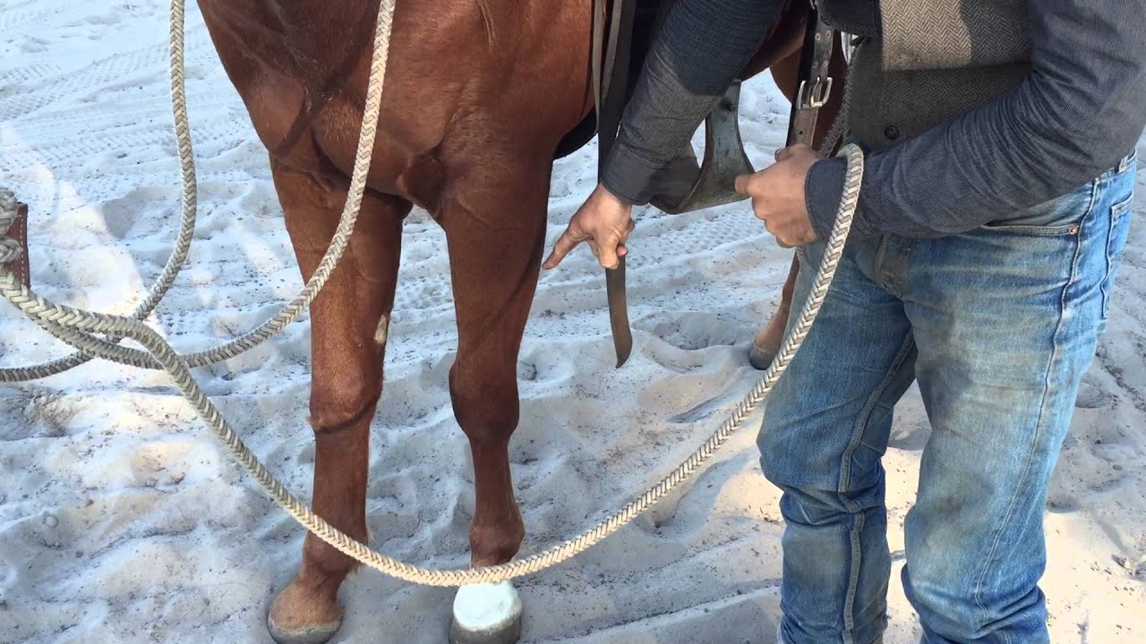 How To Get A Horse To Stand Still When You Get On