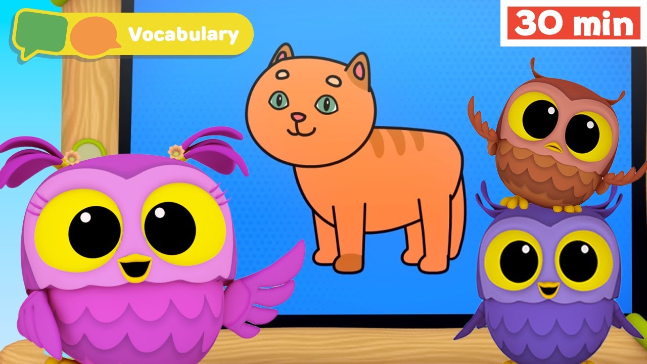 Hoot, Scoot & What | Learn Vocabulary for Kids | First Words & ABC alphabet  | Animals for Babies