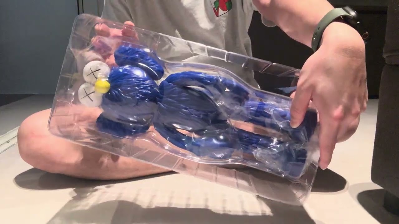 KAWS BFF (Blue) unboxing