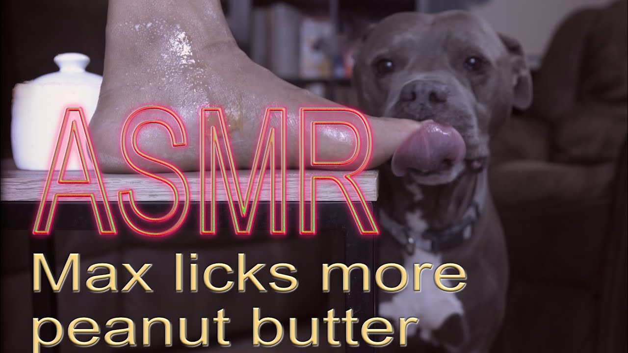Max Licks More Peanut Butter | ASMR DOG LICKING | NO TALKING