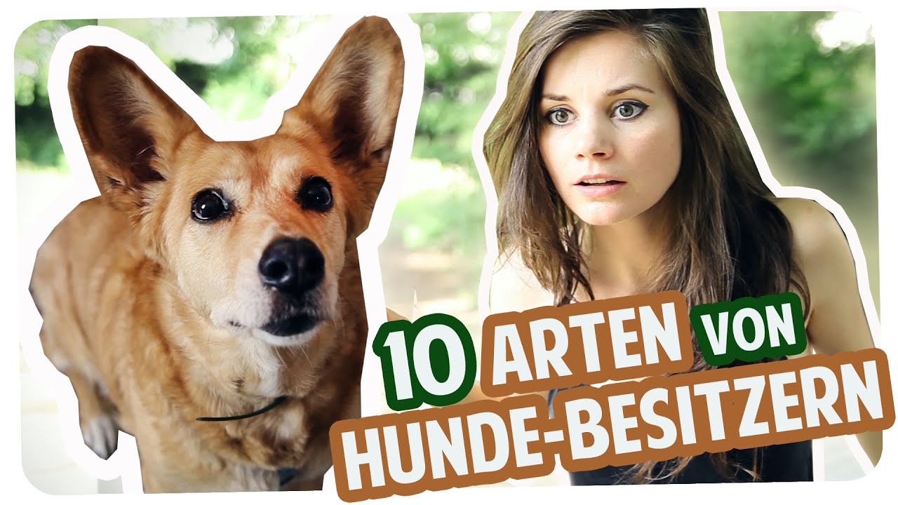10 Arten von Hunde-Besitzern | Joyce