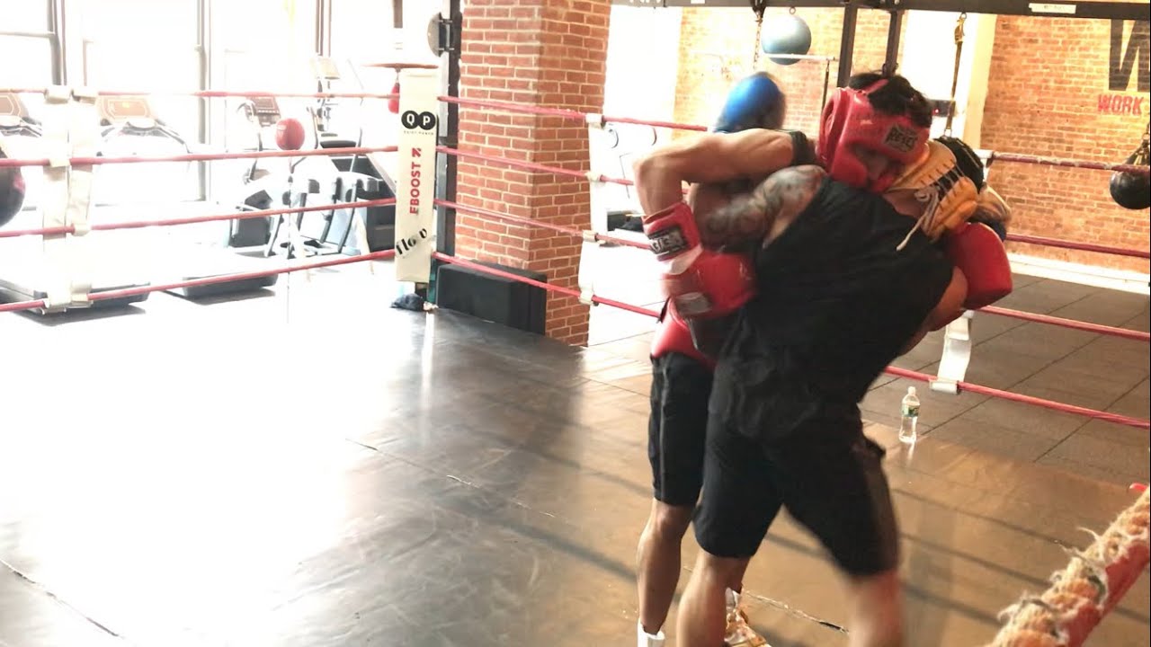 🥊BOXING -DOG FIGHT WITH A PRO- TrueFlow VS PRO!😤 (6 ROUNDS)
