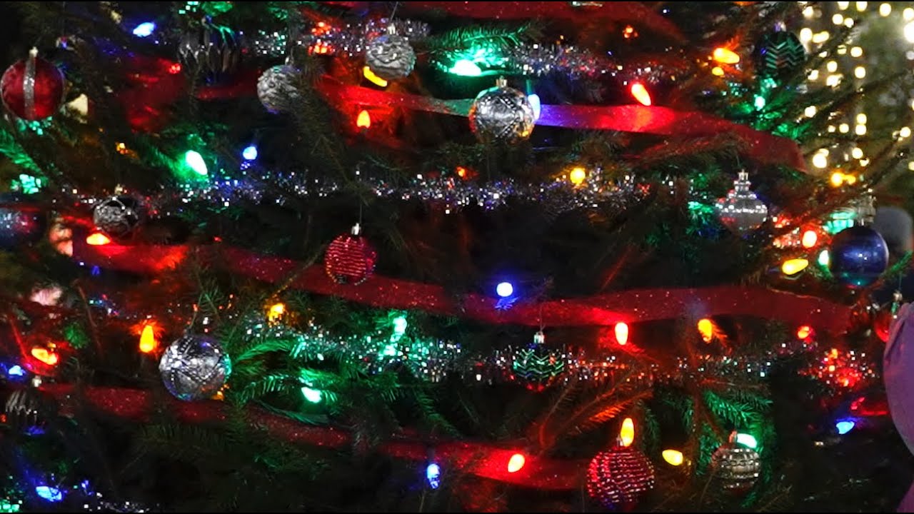 Greenbelt Tree Lighting Ceremony 2024