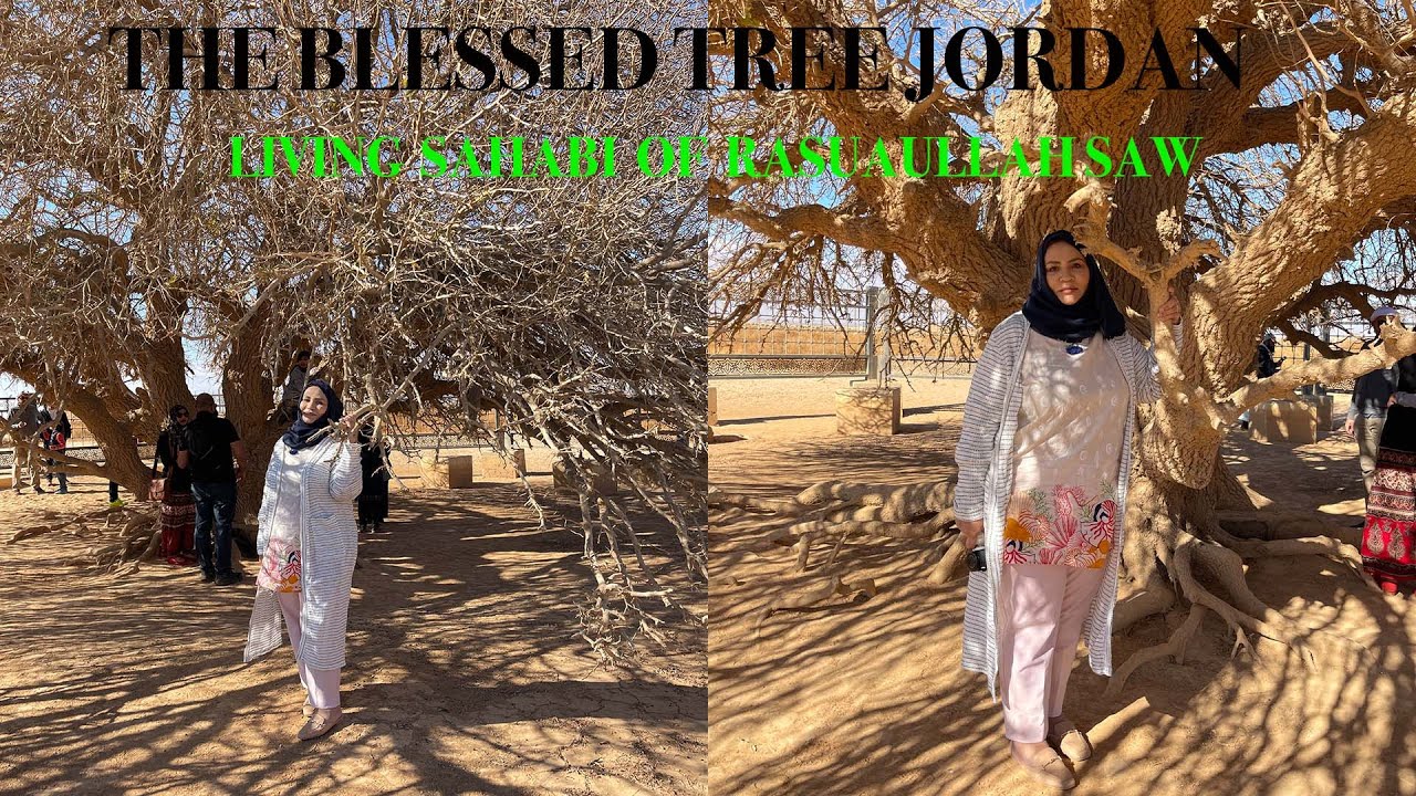 The Blessed Tree in Jordan || Living Sahabi || Mama Vlog