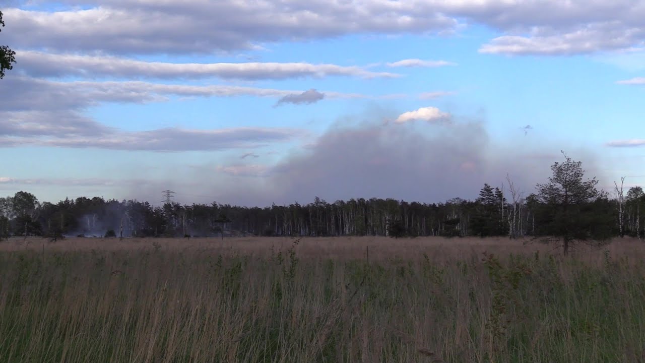 Pożar lasów w Misteczku Śląskim 21.05.2022