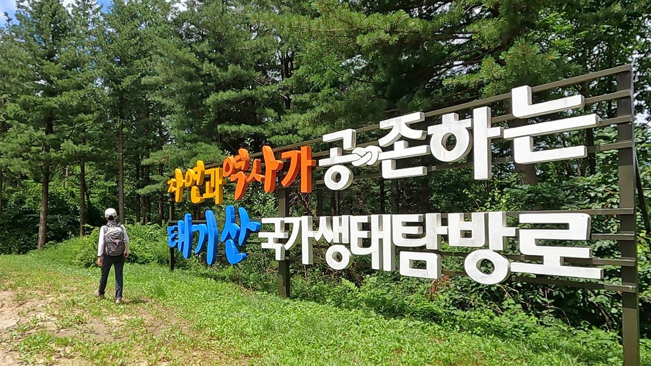 아쉬움으로 남은 태기산 국가생태탐방로