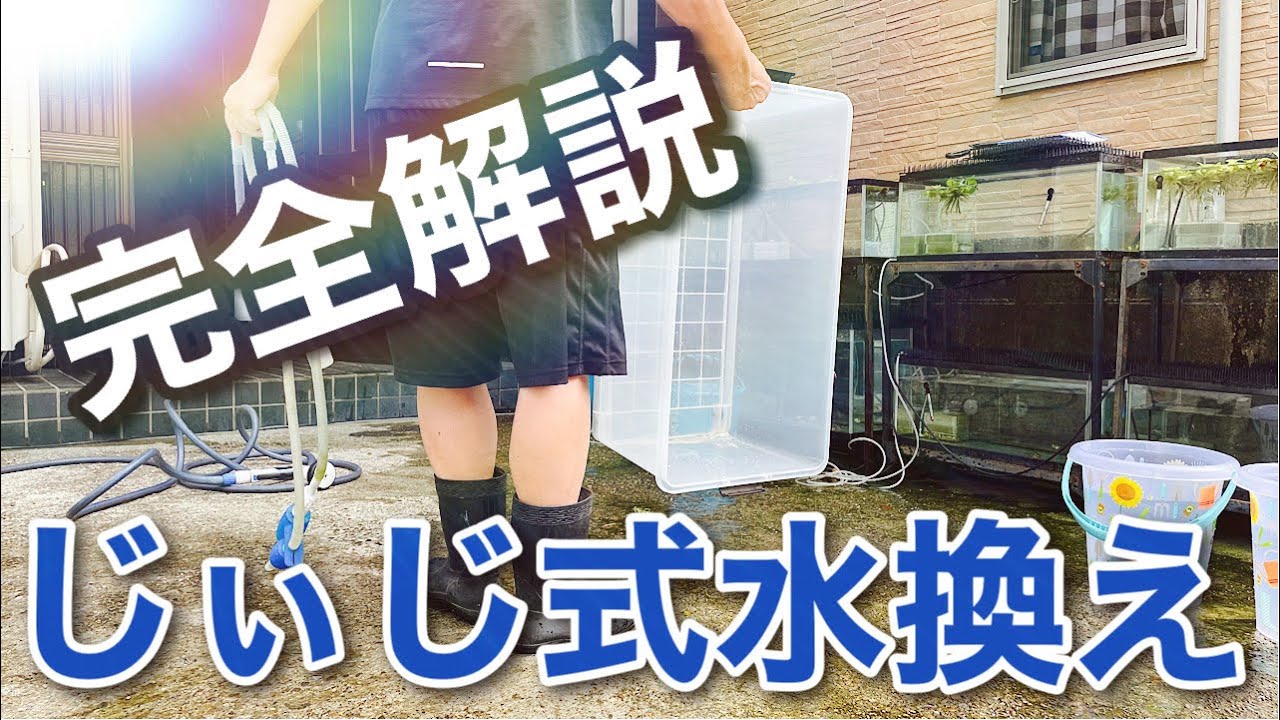 金魚水槽じぃじ式水換えに密着した
