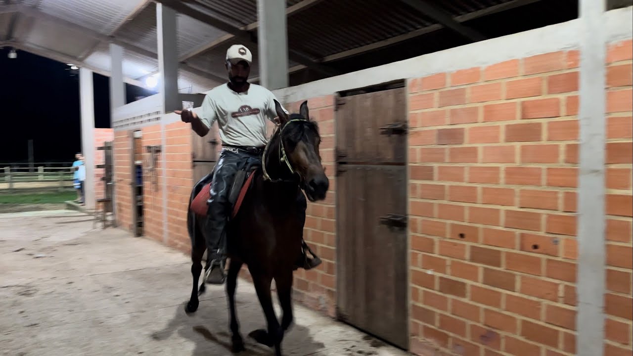 POLÊMICA, QUAL É MELHOR ? MARCHA BATIDA OU MARCHA PICADA ?