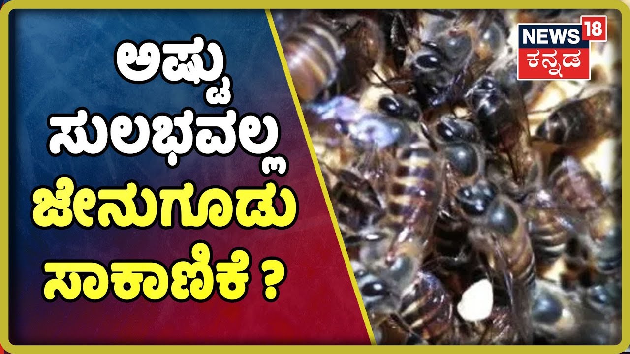 ತುಡುವೆ ಜೇನು ಸಾಕಾಣಿಕೆಯಲ್ಲಿ ಪ್ರಗತಿ ಕಂಡ ಲಕ್ಷ್ಮೇ ಗೌಡ; ಈ ಆಧುನಿಕ ಕೃಷಿಕನಿಗೆ ಸಿಕ್ಕ ಪ್ರಶಸ್ತಿಗಳೆಷ್ಟು ಗೊತ್ತಾ?