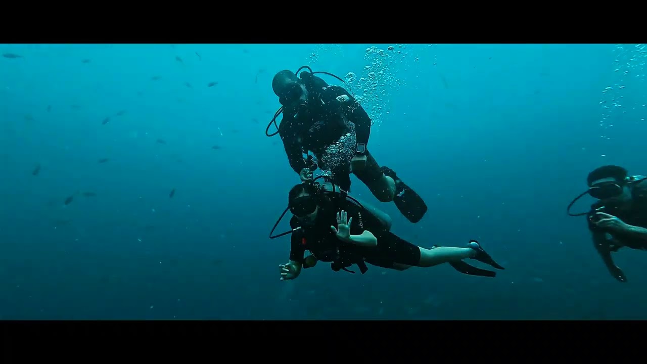 Buceo Koh Samui Discovery Divers Ocean Voice Sail Rock Yellow Box Fish Koh Samui BuceoKohSamui.com 