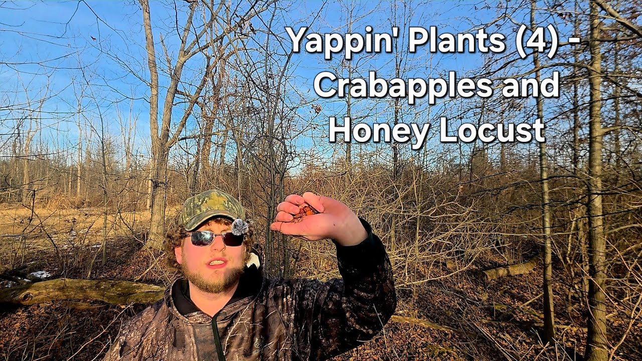Yappin' Plants (4) - January Botanizing and Seed Collection