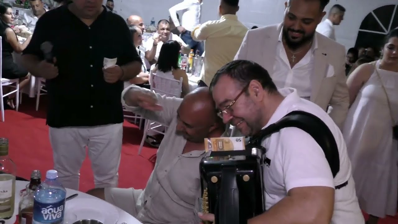 Dejan Kostic Mozart Kralj Harmonike / Mix 38 min 4K 