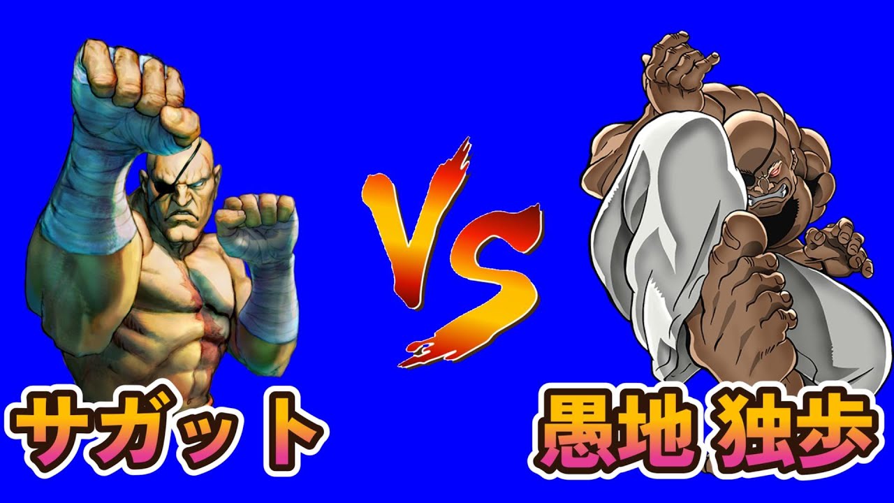 【バキ✕Street Fighter】帝王サガットVS武神 愚地 独歩