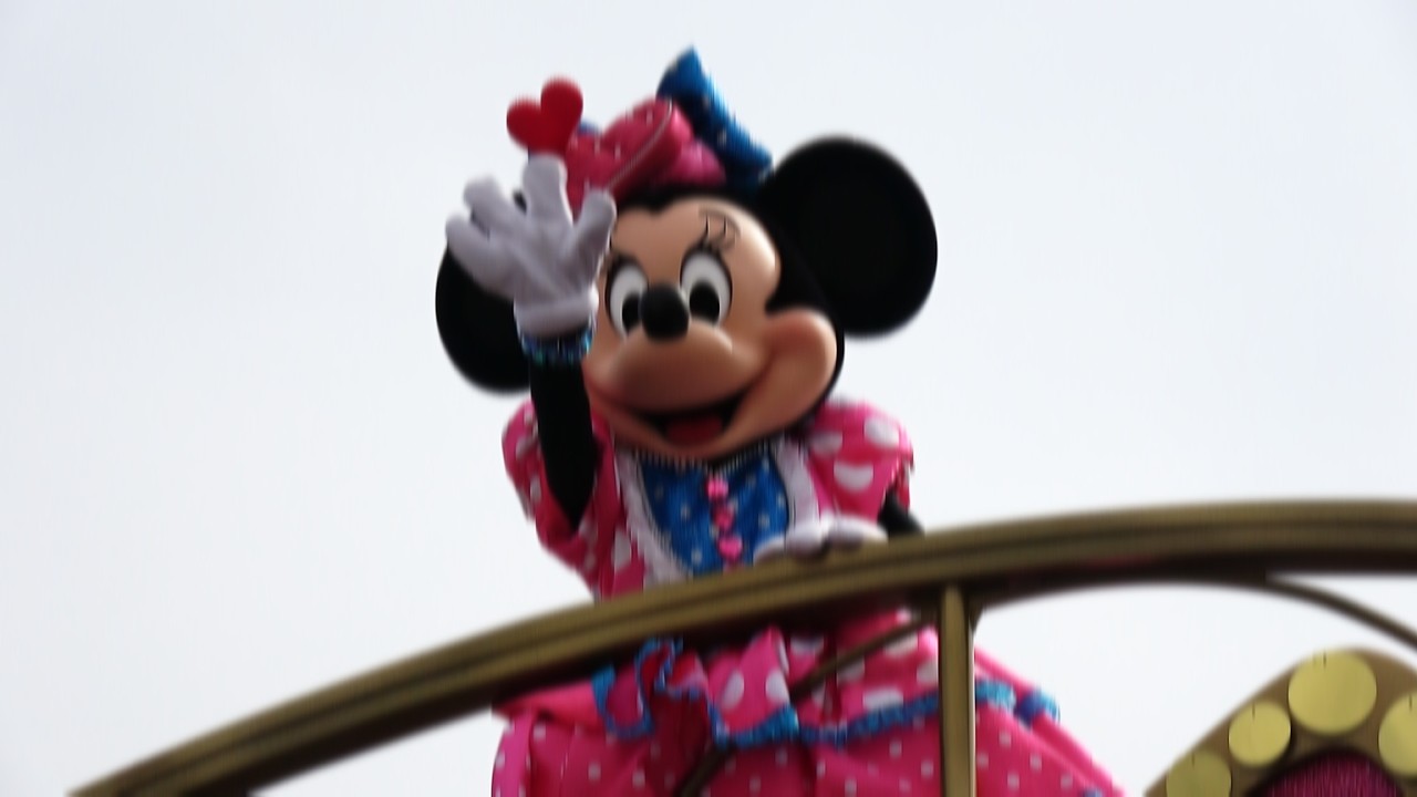 【TDL】目の前に広がるミニーの世界。DPA２列目からのミニー＠ファンダーランド