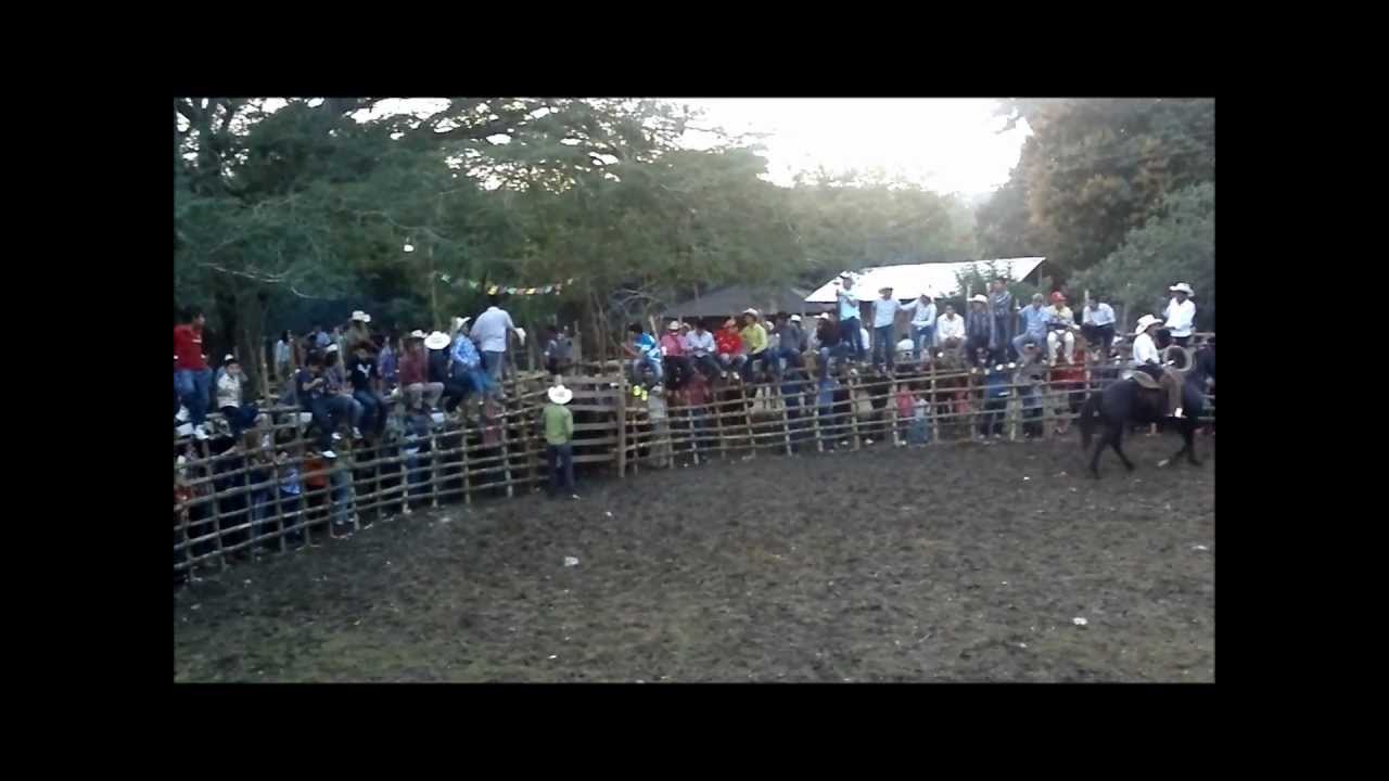 Lo mas visto Ojital Cuayo Ixhuatlan de madero Ver