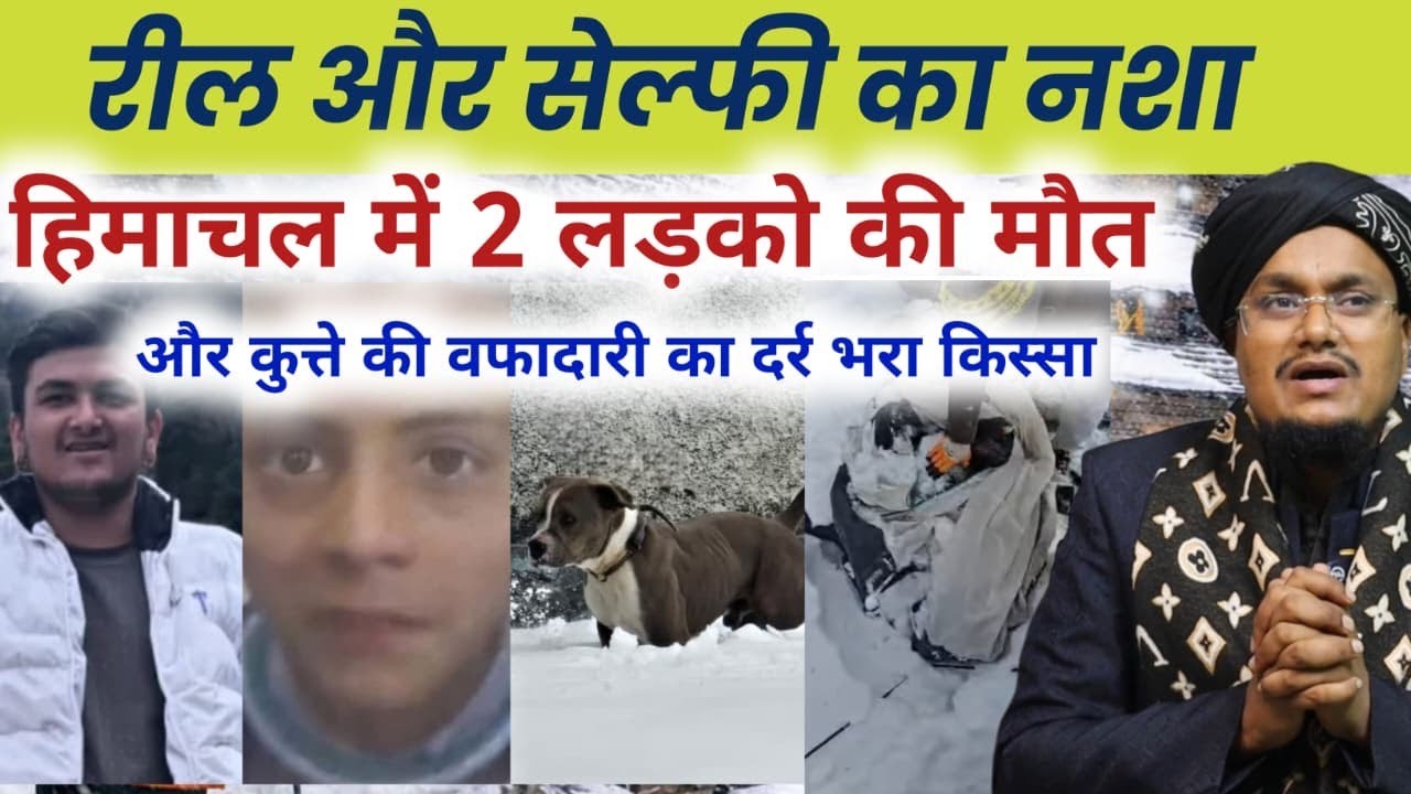 Himachal Dog News ! Reels Selfie ka Nasha | Ask A M Qasmi