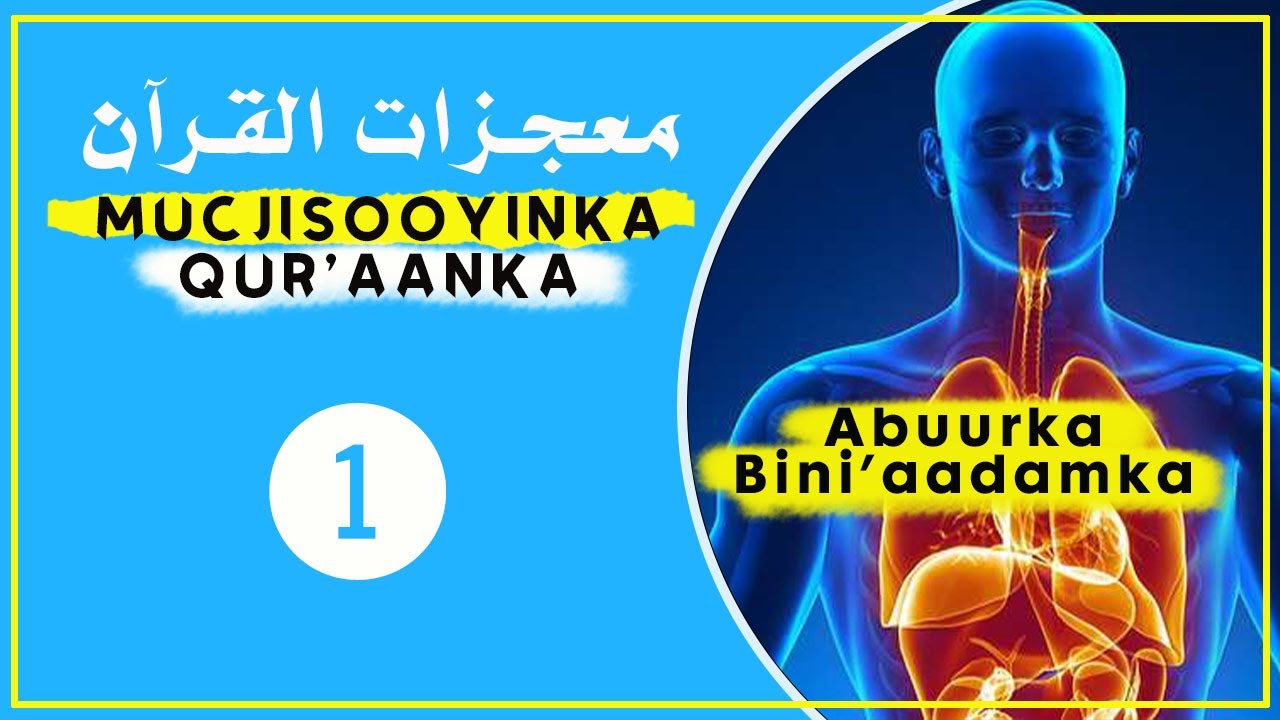 Mucjisooyinka Qur'aanka ᴴᴰ┇Abuurka Bini'aadamka iyo qaab dhismeedkiisa quruxda baddan