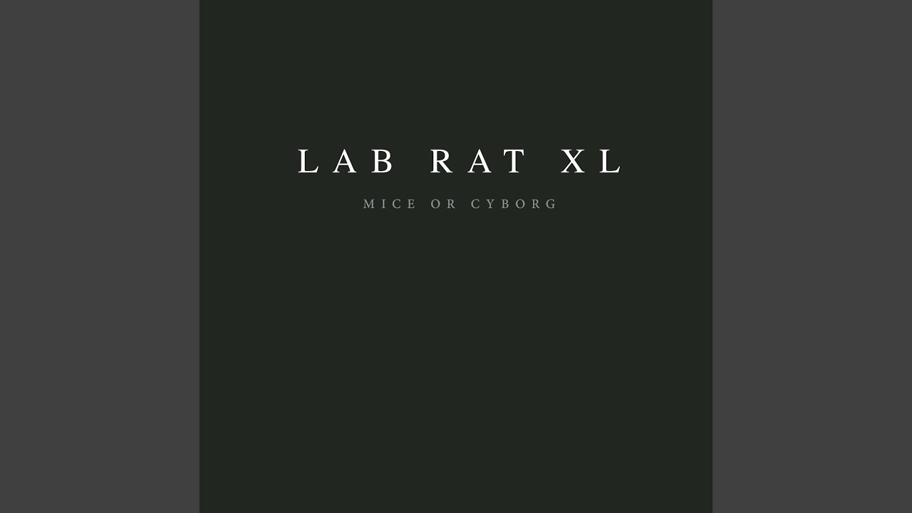 Lab Rat 6