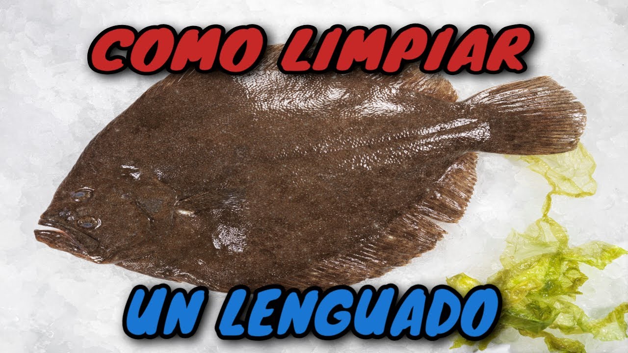 ‼️Como LIMPIAR un LENGUADO en FILETES fresco y ENTERO‼️