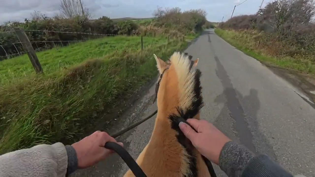 Ride out with JJ. 
