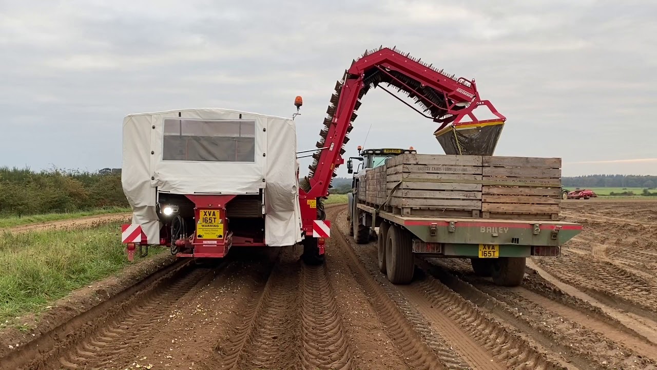 Greg Colebrook, Greens of Soham DEFRA virtual farm tour