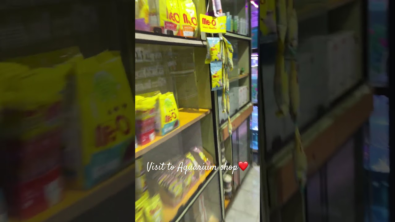 Visit to aquarium shop❤️#aquariumshop#aquatictherapy#aquatic creatures#aquariumfish