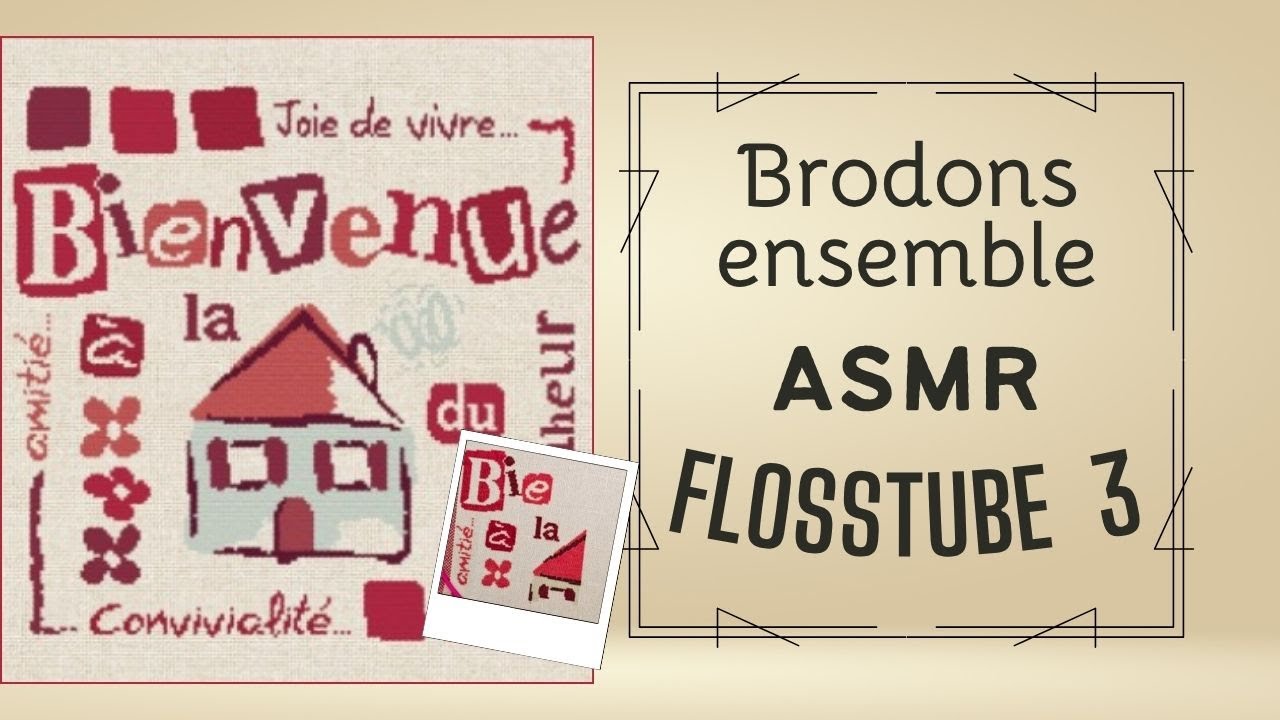 FLOSSTUBE ASMR #3 #flosstube #pointdecroix #puntodecruz #crossstitch