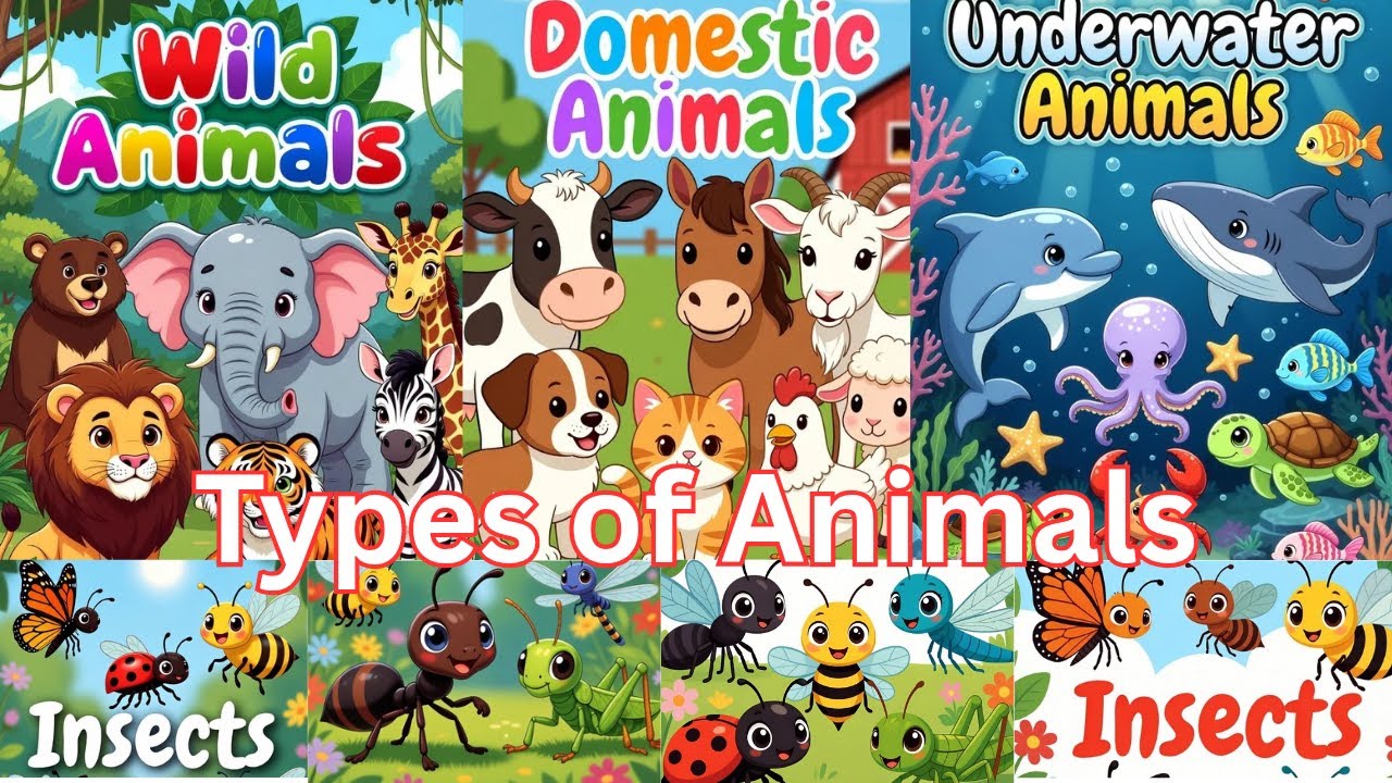 Animals for Kids - Learn about the Types of Animals #wildanimals #domesticanimals #nilusclassroom
