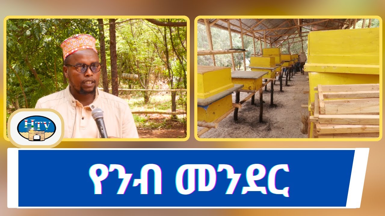 የንብ መንደር