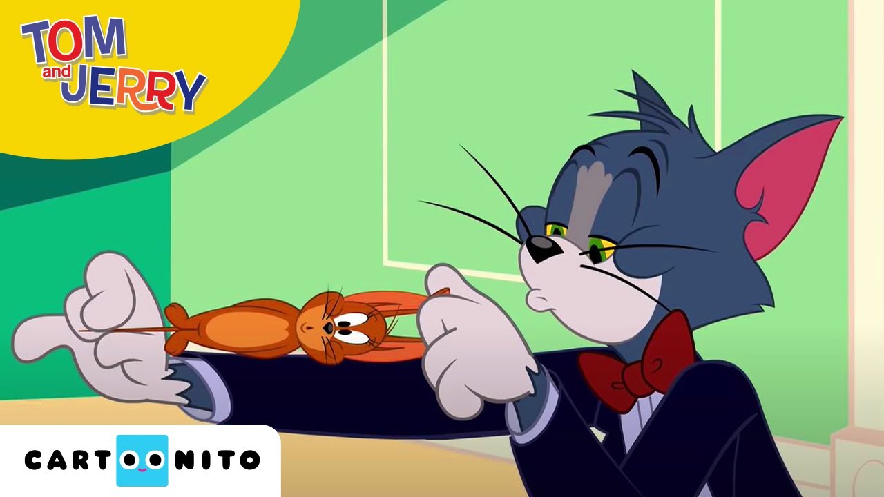Tom și Jerry | Cartierul cel nou | Cartoonito