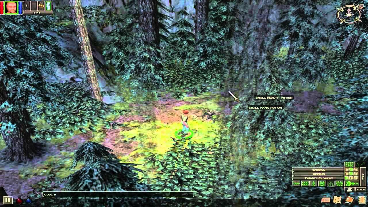 Dungeon Siege Clip + 2Bucks Singing :D