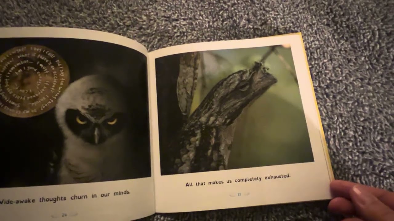 All Birds Have Anxiety