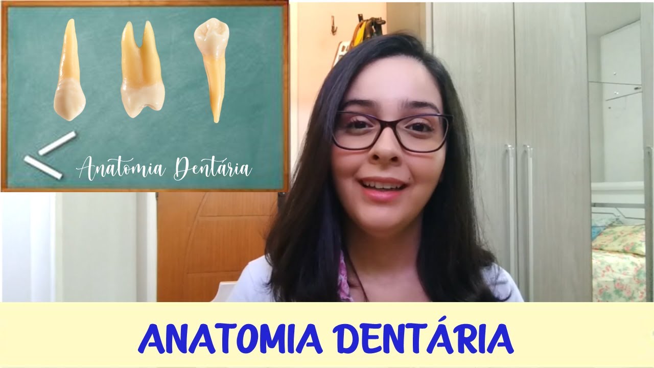 Anatomia Dental: Aula de Introdução à Odontologia
