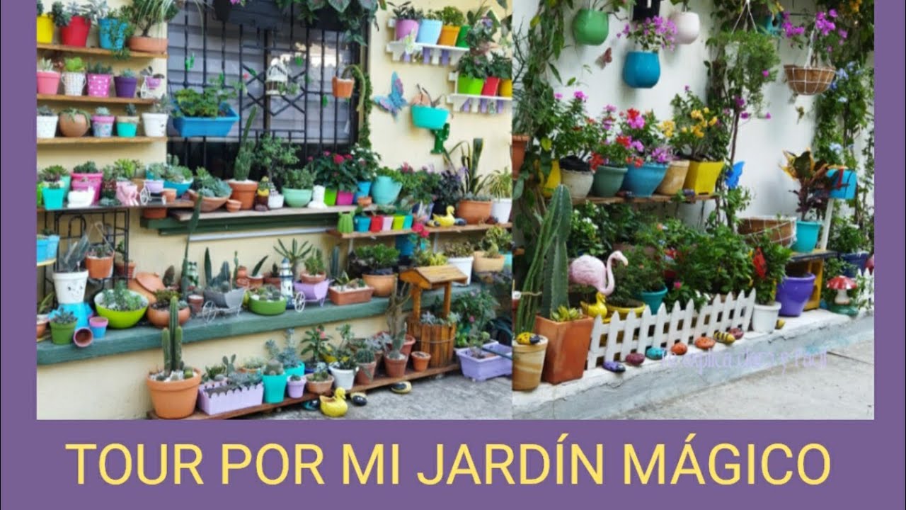 TOUR POR MI JARDÍN MÁGICO 🌹🌹🌹💚